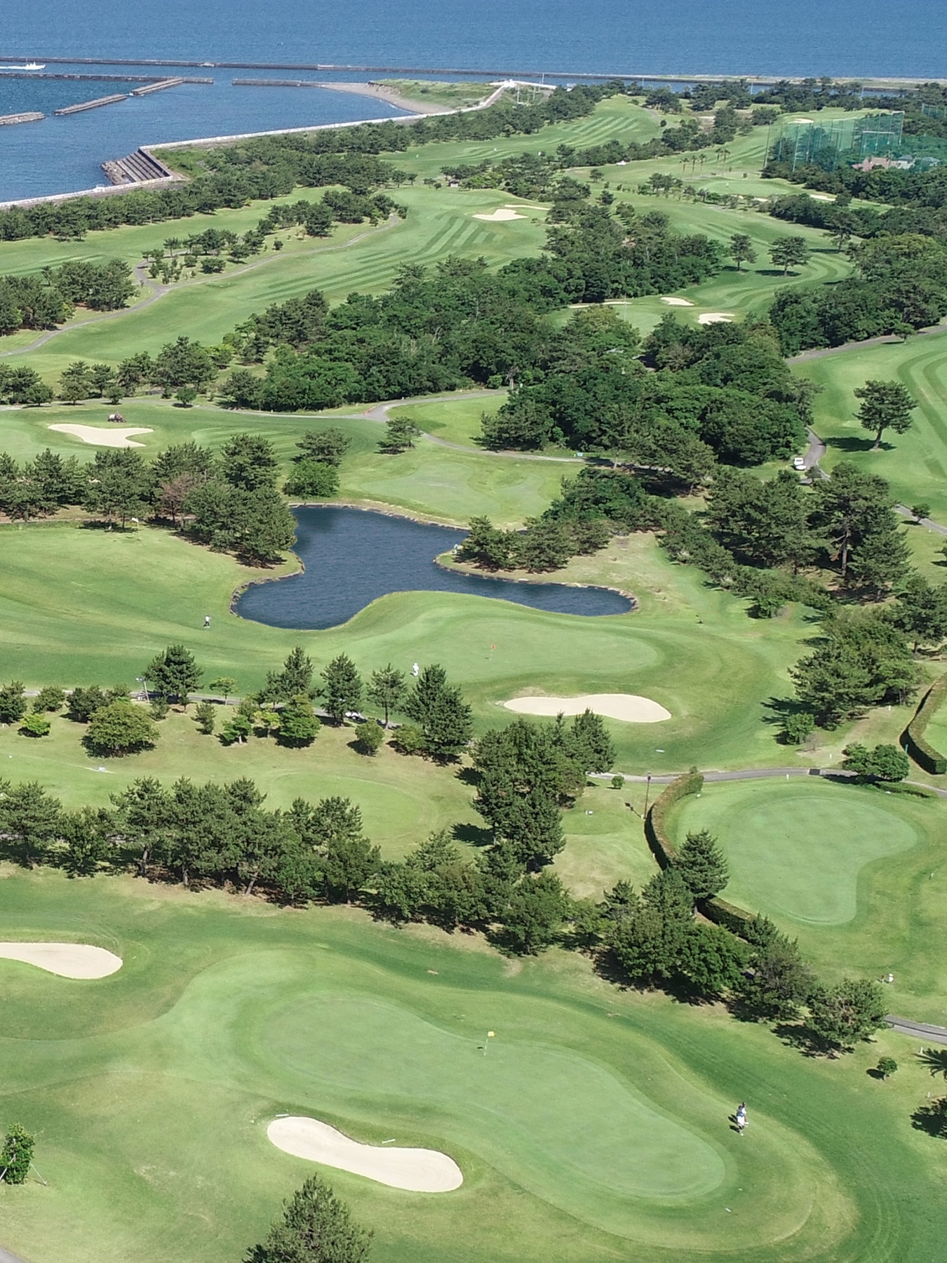 第31回全日本シニアアマチュアゴルファーズ選手権